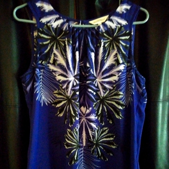 Silky top - Picture 1 of 2